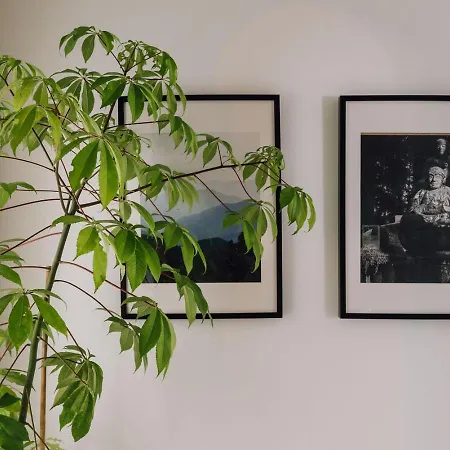 Koya - 2 Bedrooms In Santos Διαμέρισμα Lisboa